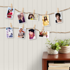 Photo Hanging Clips