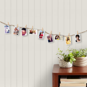 Photo Hanging Clips